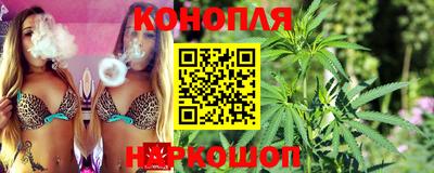 spice Обь