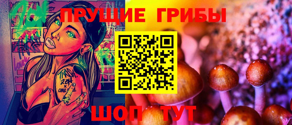Псилоцибиновые грибы Psilocybe Советск